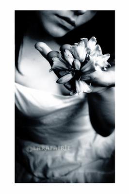 je donne cette rose pour toi