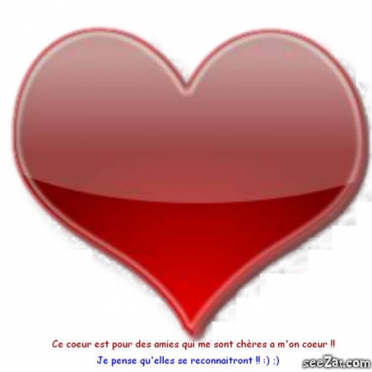 Pour celles qui ne m'ont pas laisser tomber !!