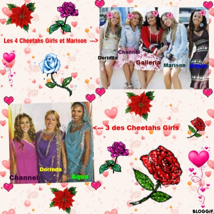 Les Cheetahs Girls - photo 3