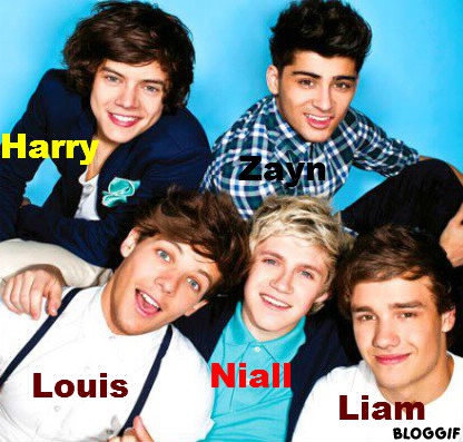 Pour les fans des One Direction - photo 2