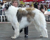 llllllllllllvvvvvvvvrrrrrrrriiiii bbbbaaaaaaaaaaarrrrrrrrzzzzzooooiiiii    