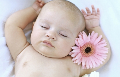 les b�b�s - photo 2