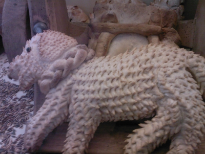 salut!mon pre a un talent fous regarder!