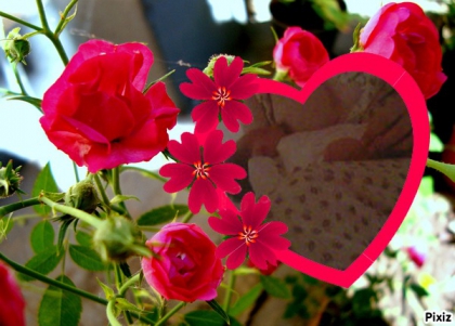 Jtm Louna !!!   6 mois...