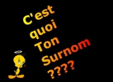 Quel est ton surnom?