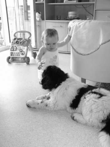 Kiara et le chien de ma m�re