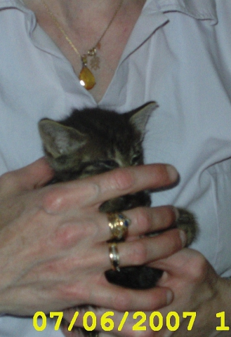 cacahouette tout petit!!!