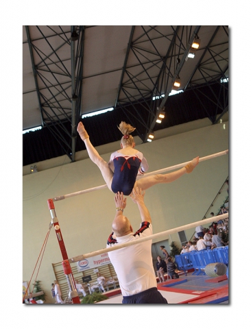 la  barre   a   sym�trique