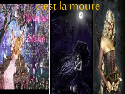 c est csa  la moure