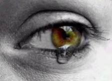 Je dois vous quitt(e)s