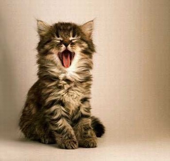 D'abbord parlons un peu de moi !