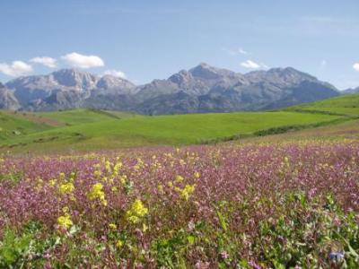 j'espre que vous allez aimer 