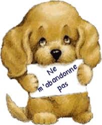 les chiens abandonns