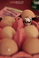 lapin cr�tin - photo 3