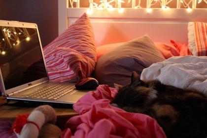 Ma Chambre . Mon Chiien