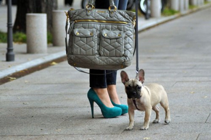 Moii � Mon cHienn Kilover