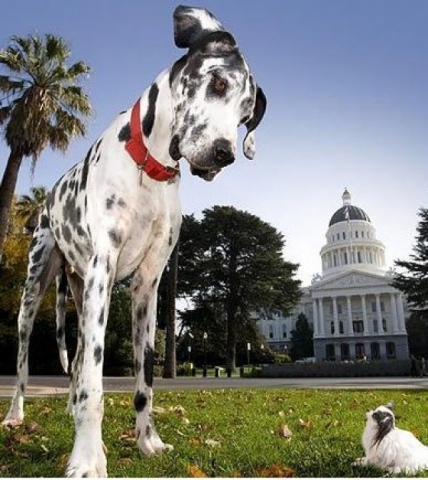 trop marrante cette photo mdr 