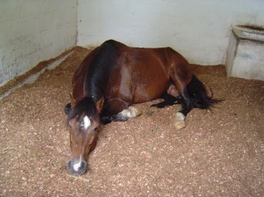 ca c'est tournado il est jentil