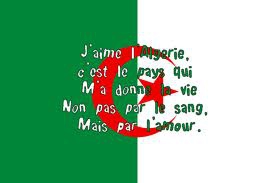 l'algerie foot