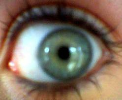 Mes Yeux !