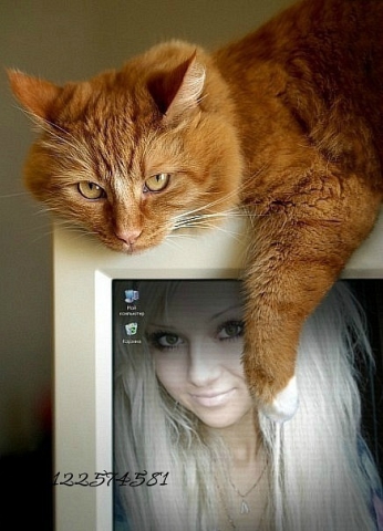 mWa mo0n siSi.....-XD