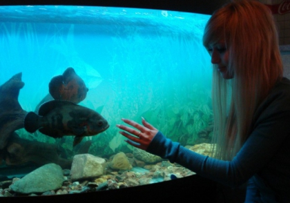 me me me sisi xD for ever...