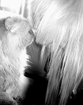 mWa mo0n siSi.....-XD